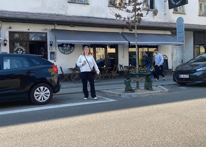 Апартаменты Central Copenhagen Apartment